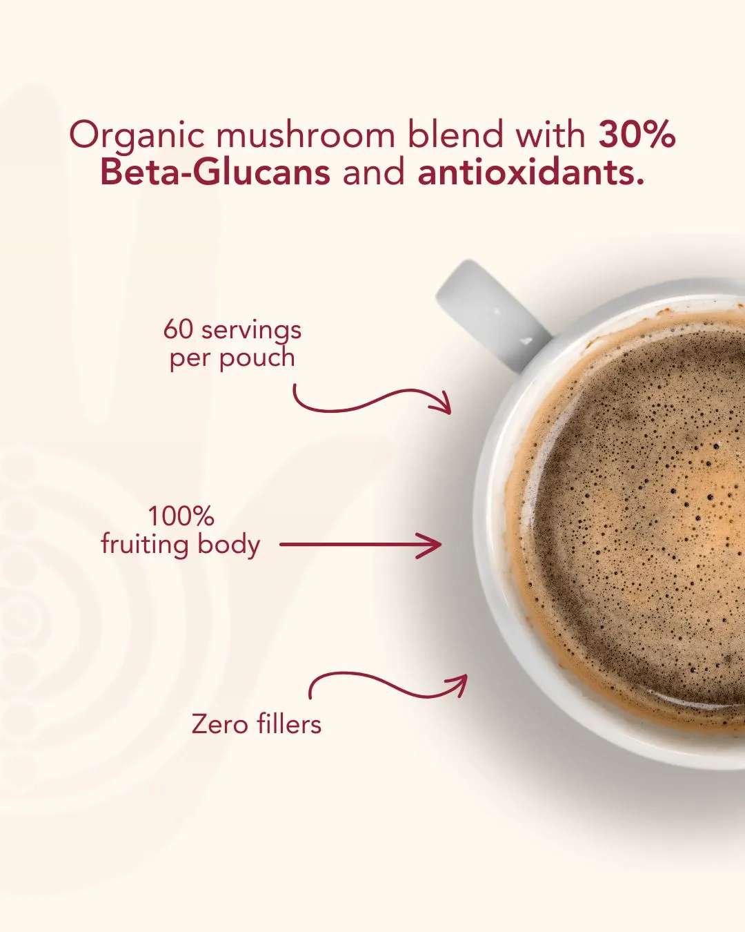 Ancient Extracts Organic Reishi Mushroom Powder 30% Beta Glucan 60g