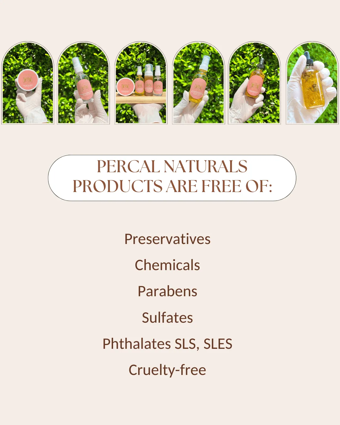 Clay Mask Kit