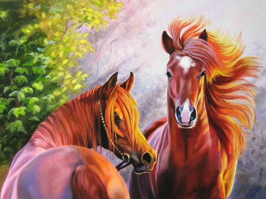 Diamond Painting - 40cm x 50cm
