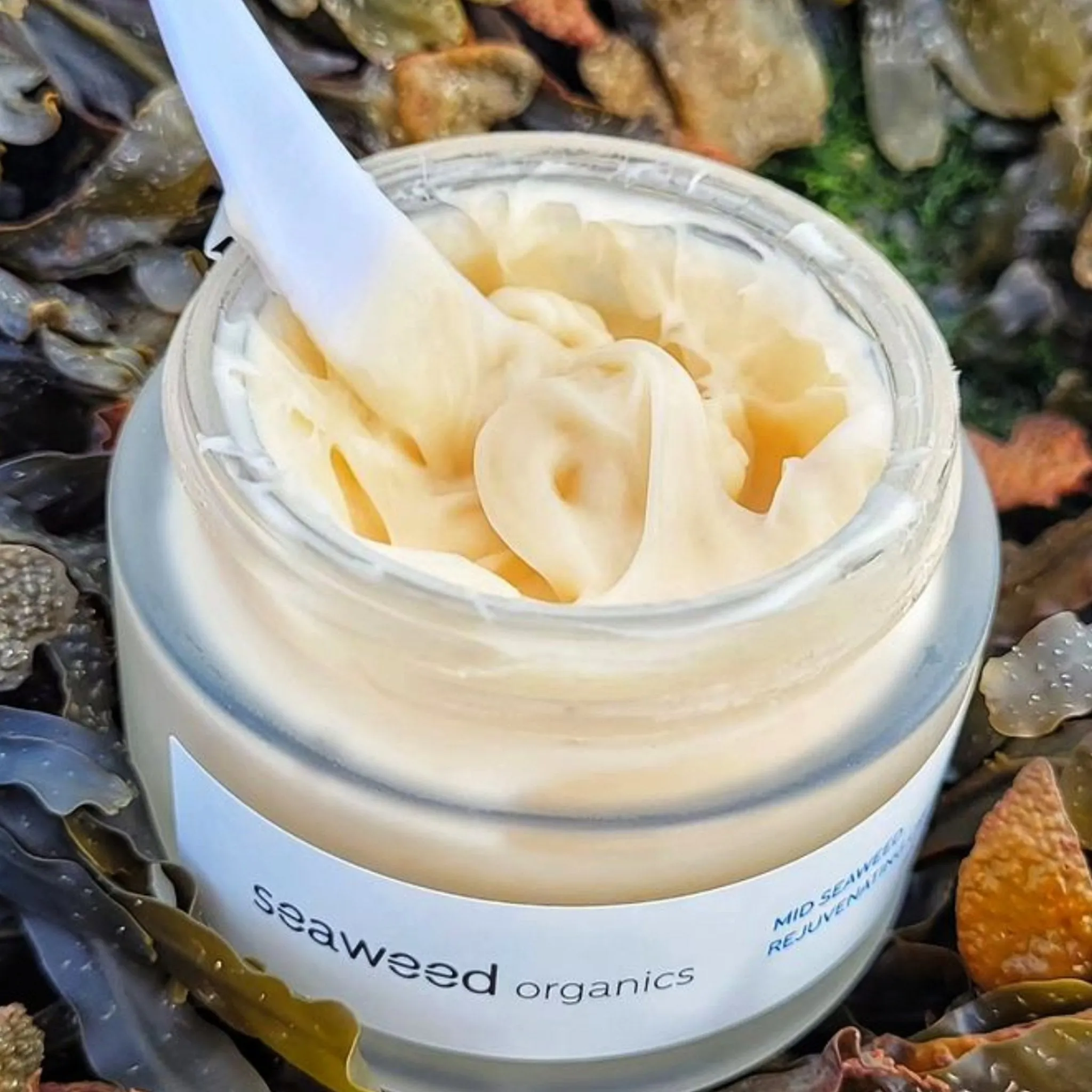 Mid Seaweed Rejuvenating Cream