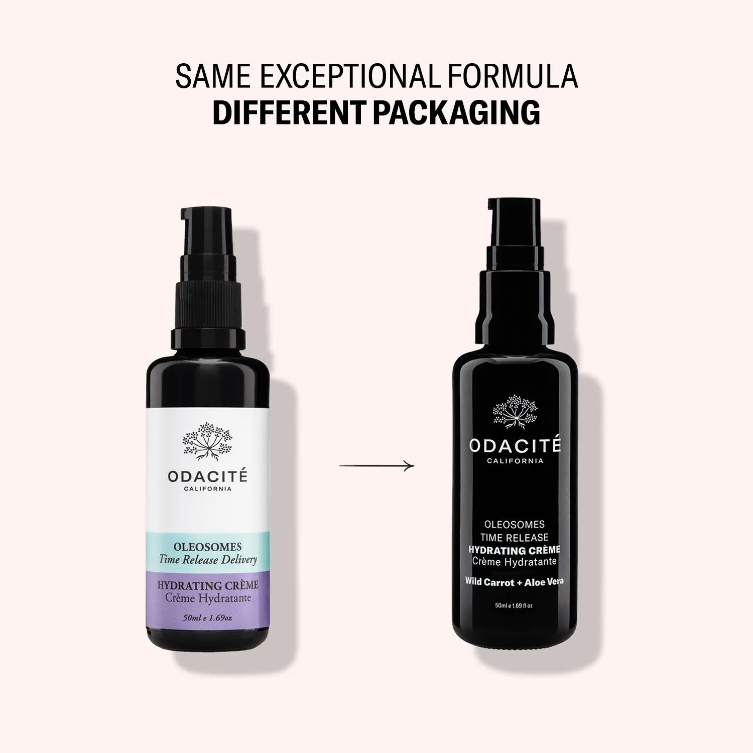 Oleosomes • Wild Carrot   Aloe Vera • Hydrating Crème