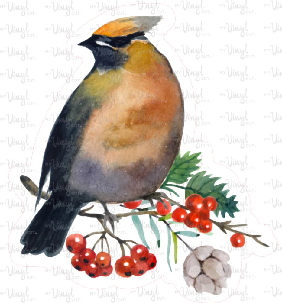 Sticker | 38F | Cedar Waxwing | Waterproof Vinyl Sticker | White | Clear | Permanent | Removable | Window Cling | Glitter | Holographic