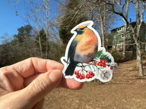 Sticker | 38F | Cedar Waxwing | Waterproof Vinyl Sticker | White | Clear | Permanent | Removable | Window Cling | Glitter | Holographic