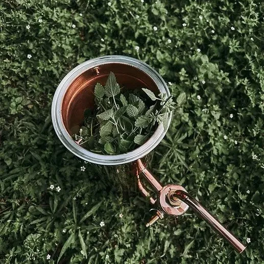 TIDELANDS HOUSE - Honey Balm & Violet Facial Essence