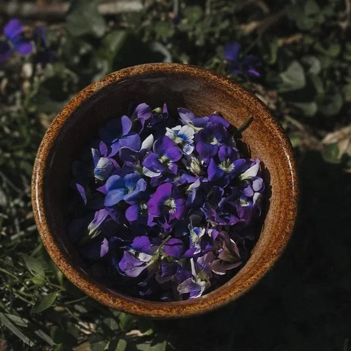 TIDELANDS HOUSE - Honey Balm & Violet Facial Essence